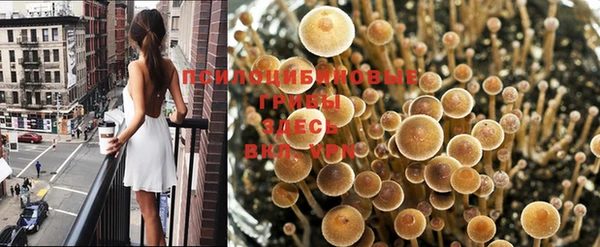 кокаин Аркадак